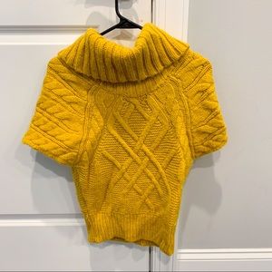 Ann Taylor Loft chunky short sleeve sweater